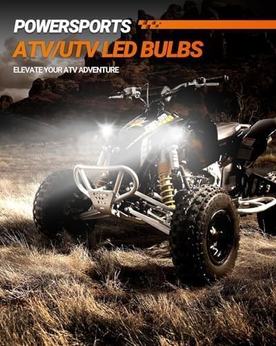 SEALIGHT D3S HID Bulbs, 6000K Daylight White Enhanced Visibility, 35W Direct Fit for 66340, 42403, 42302 (42403C1) D3S Xenon Bulb, Pack of 2 (Halogen Headlamp Incompatible)