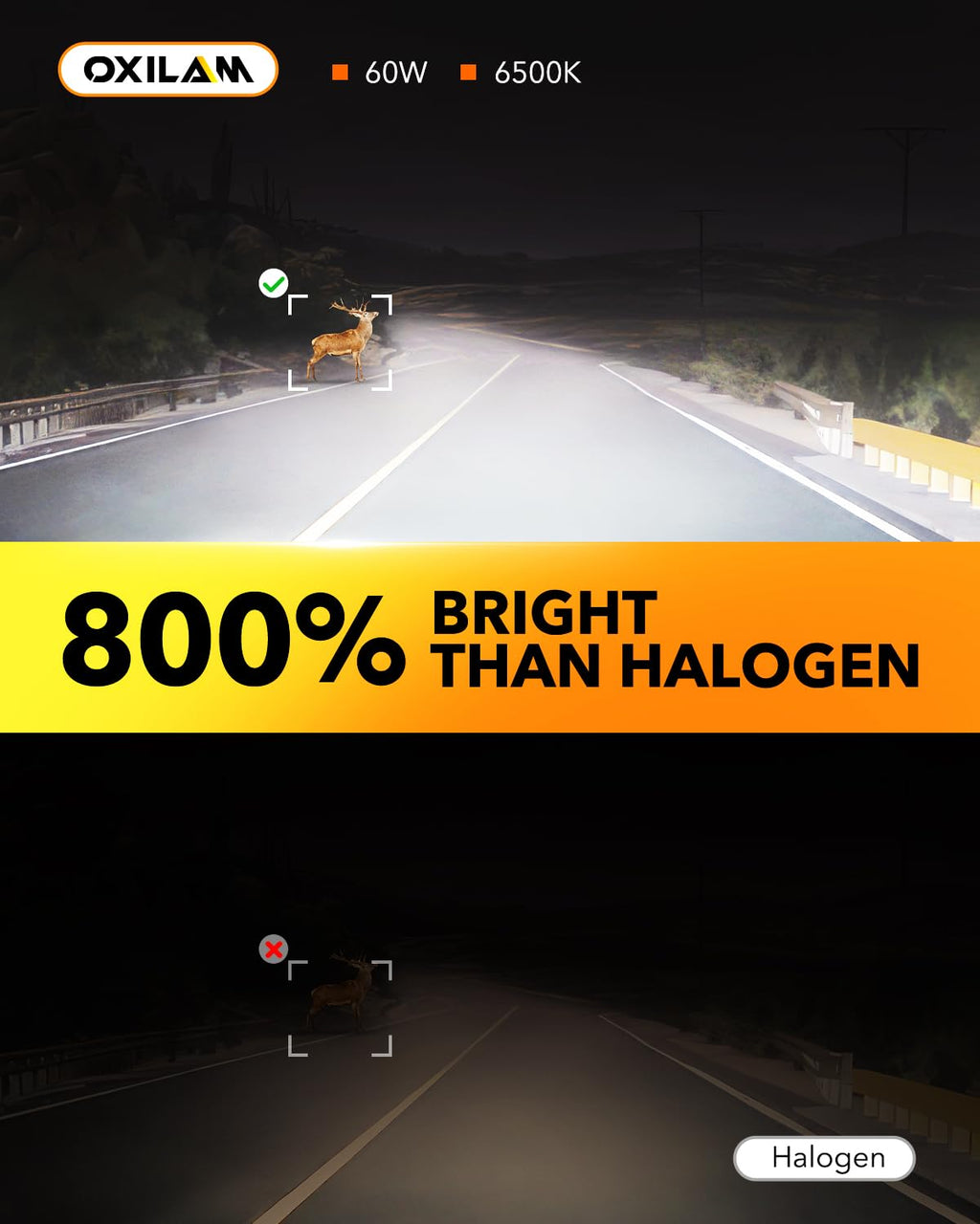 OXILAM H11 9005 Light Bulbs Combo, 320000lm 1800% Brighter 6500K Cool White Light, 1:1 Size H11/H9/H8 9005/HB3 Fog DRL Light Halogen Replacement, Pack of 4