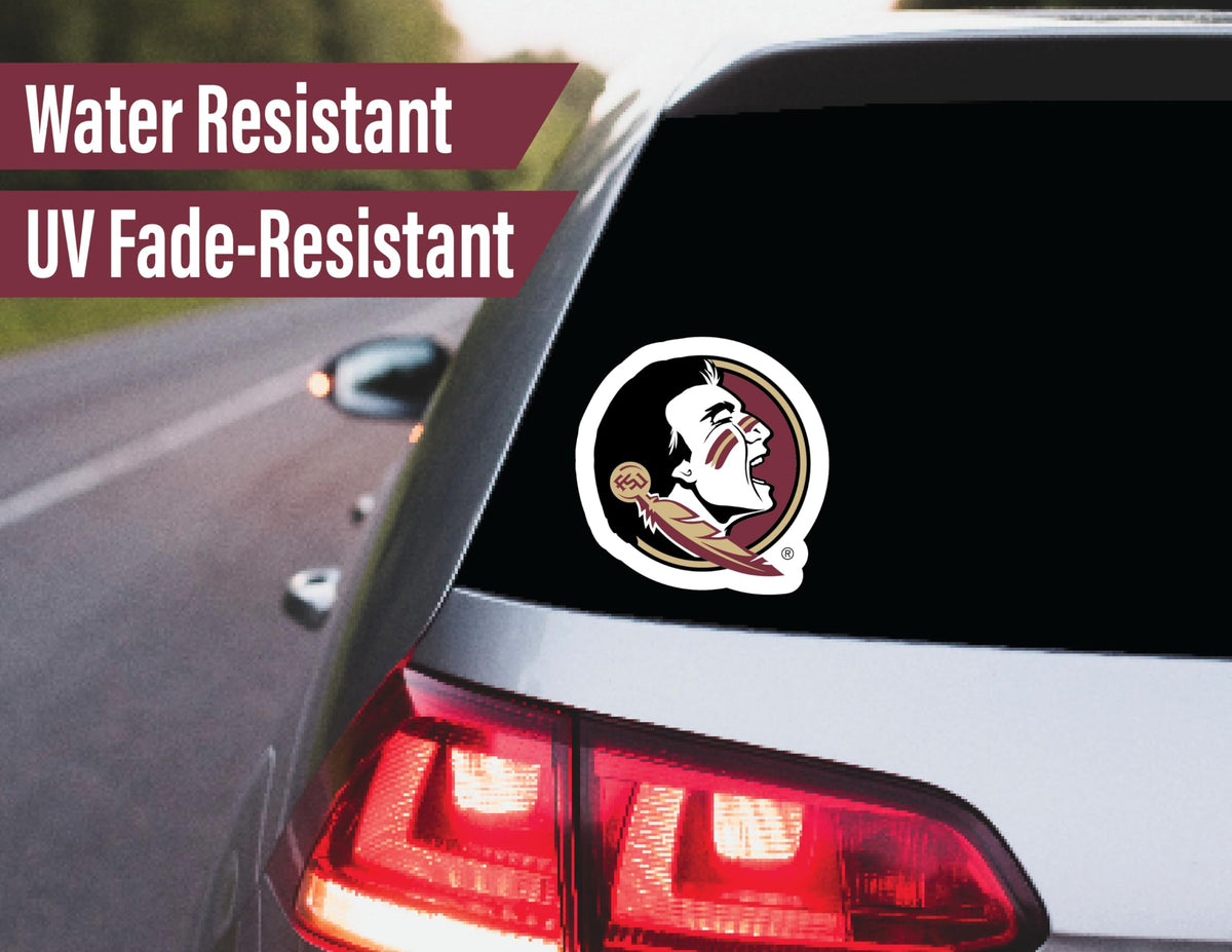 Texas Longhorns Stickers & Decals 14 Pc Set for Car, University of TX