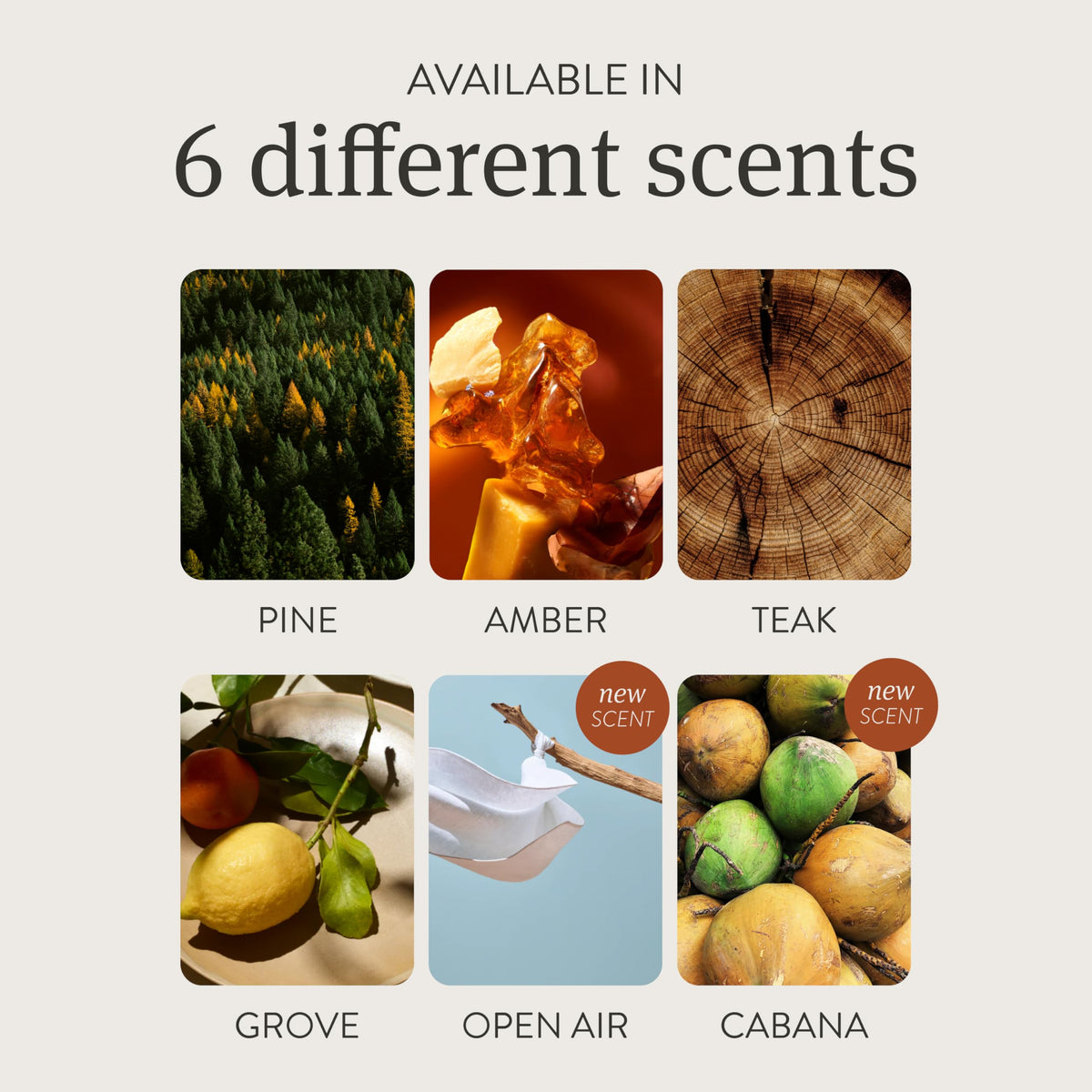 Drift Car Air Freshener - The Original Wood Air Freshener - Car Odor Eliminator - Long Lasting Scent - Essential Oils - Clean Ingredients - Teak Scent 3 Pack Refill - NO CLIP INCLUDED